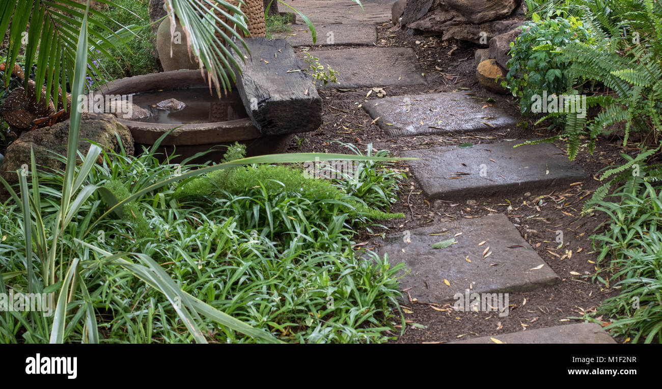 Stepping stone walkway through a lush green garden with a pond, image ...