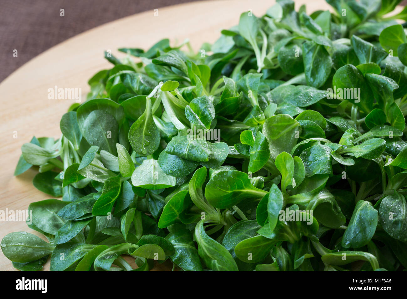 Fresh lamb lettuce corn salad on wooden table. Green lettuce leaves (Valerianella locusta) Stock Photo