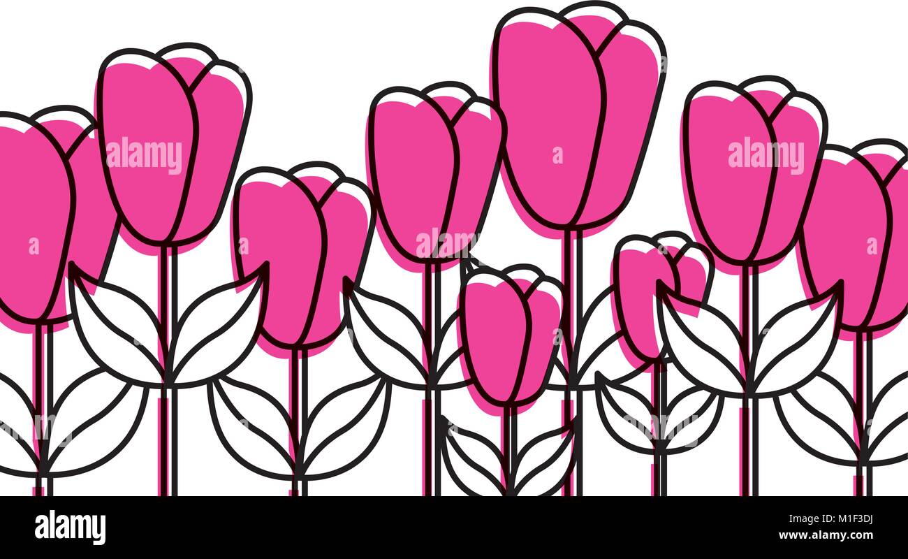 beautiful flower frame decoration ornament Stock Vector Image & Art - Alamy
