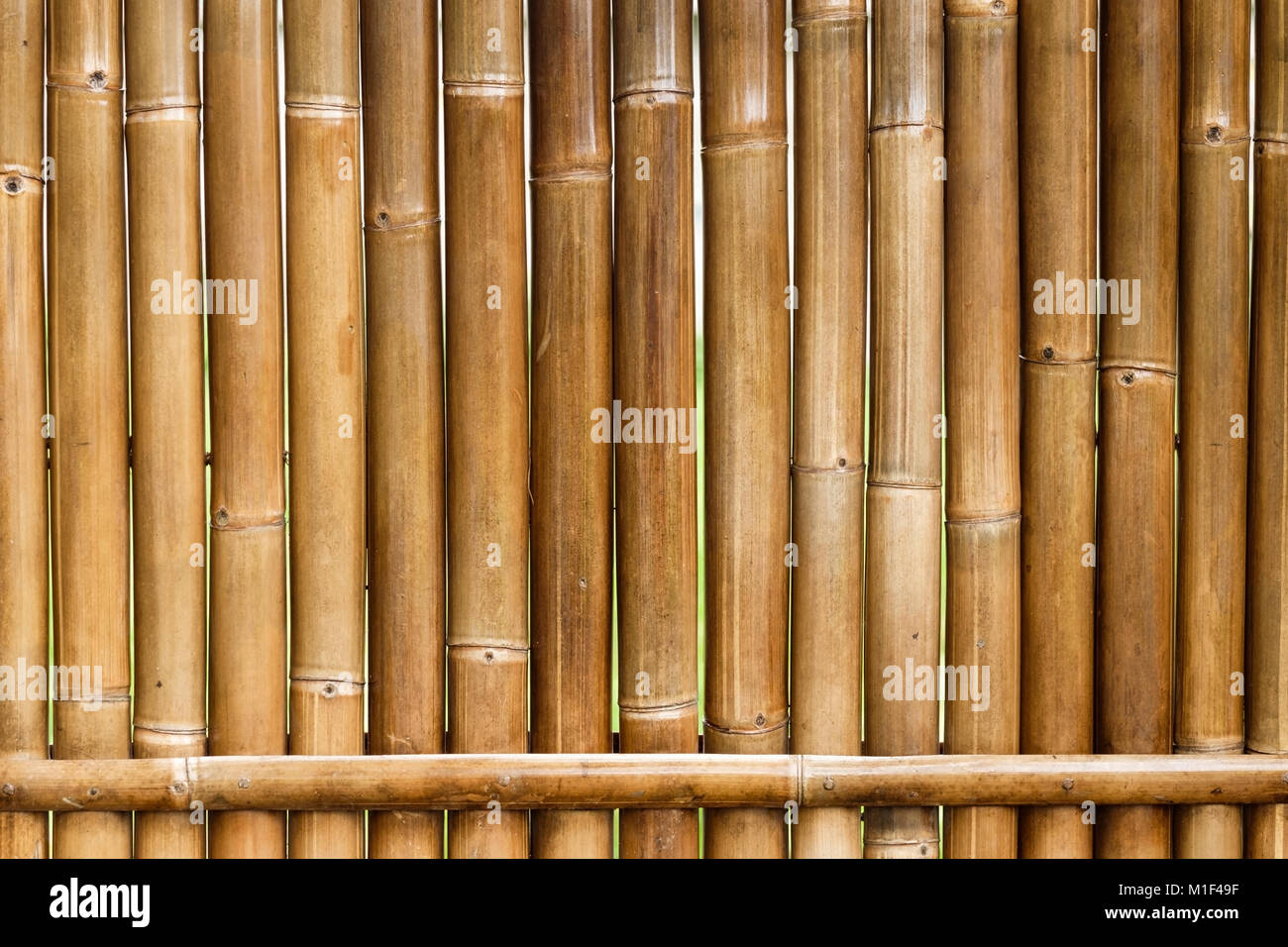 vertical yellow bamboo fence background close up Stock Photo