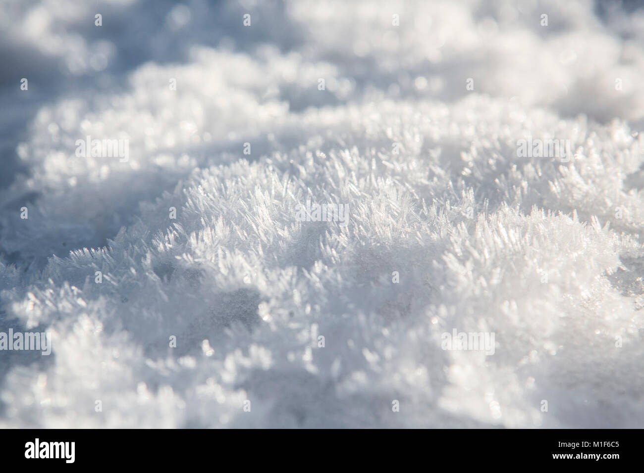 Tiny Ice Crystals On The Surface Of Fresh Snow Stock Photo Alamy Tiny Ice Crystals On The Surface Of Fresh Snow Stock Photo Alamy