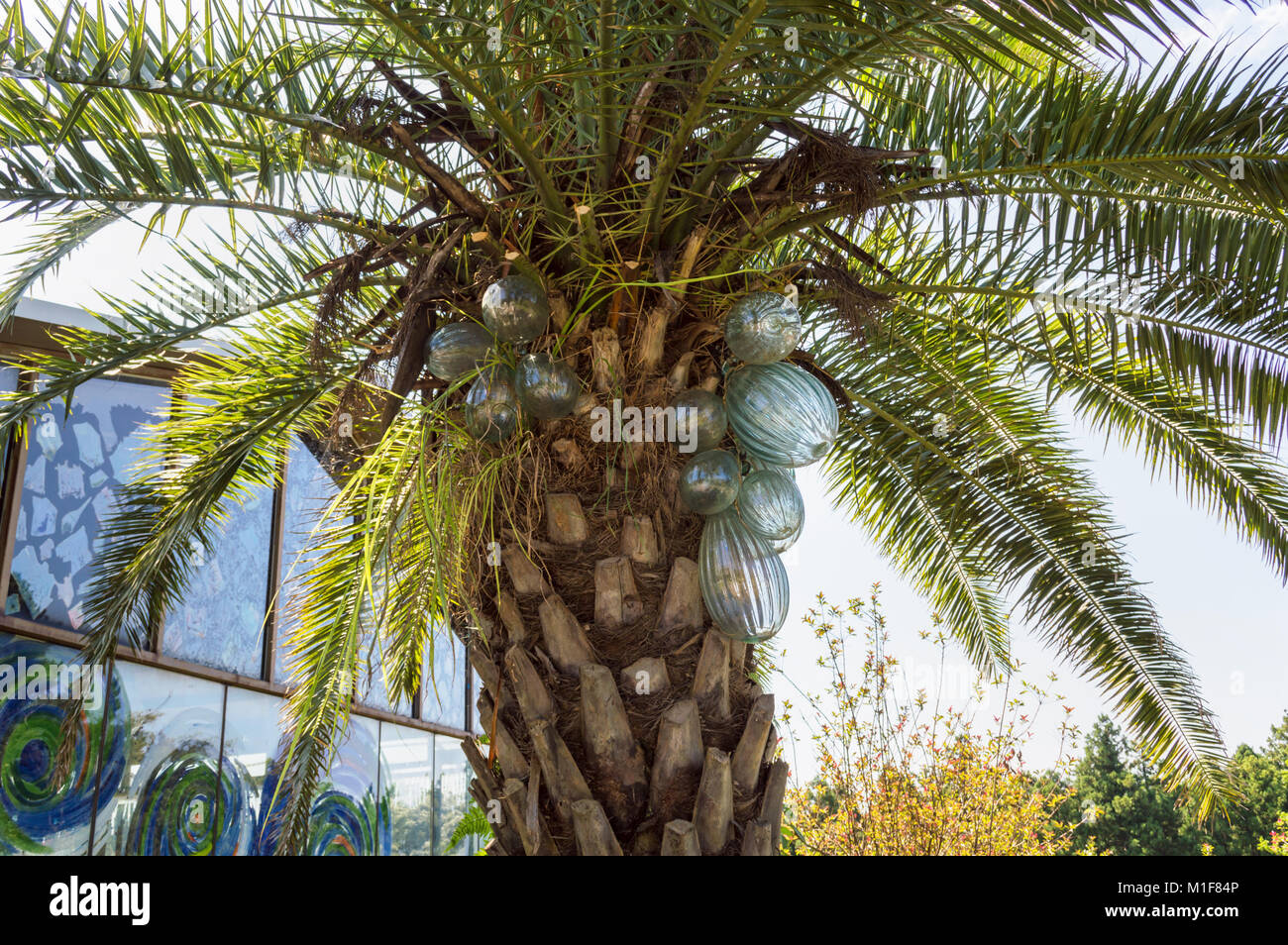 JEJU ISLAND, SOUTH KOREA, SEPTEMBER 10, 2015 glass coconuts on real