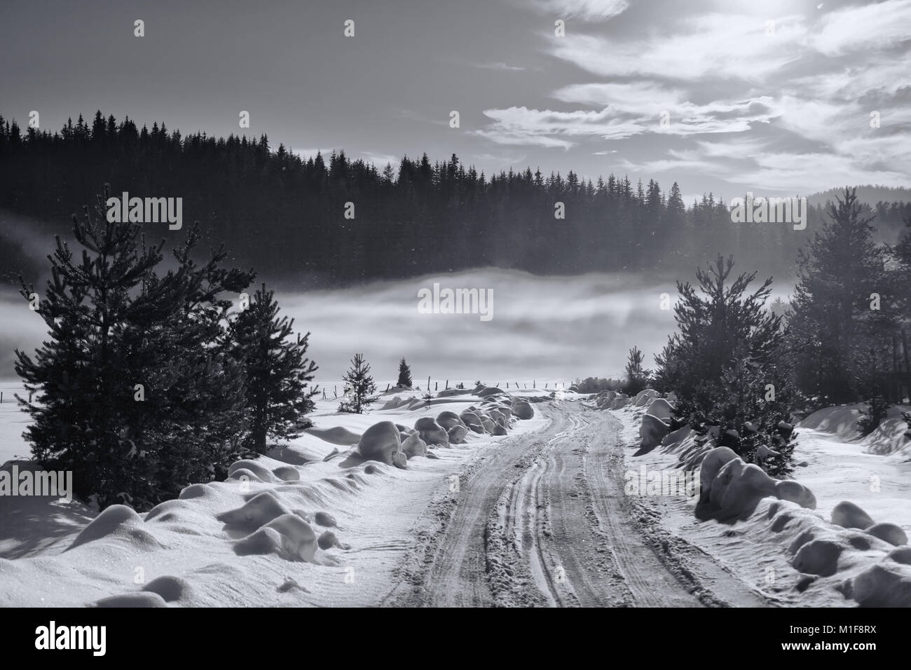 black and white winter landscape with road to fogy forest Stock Photo ...