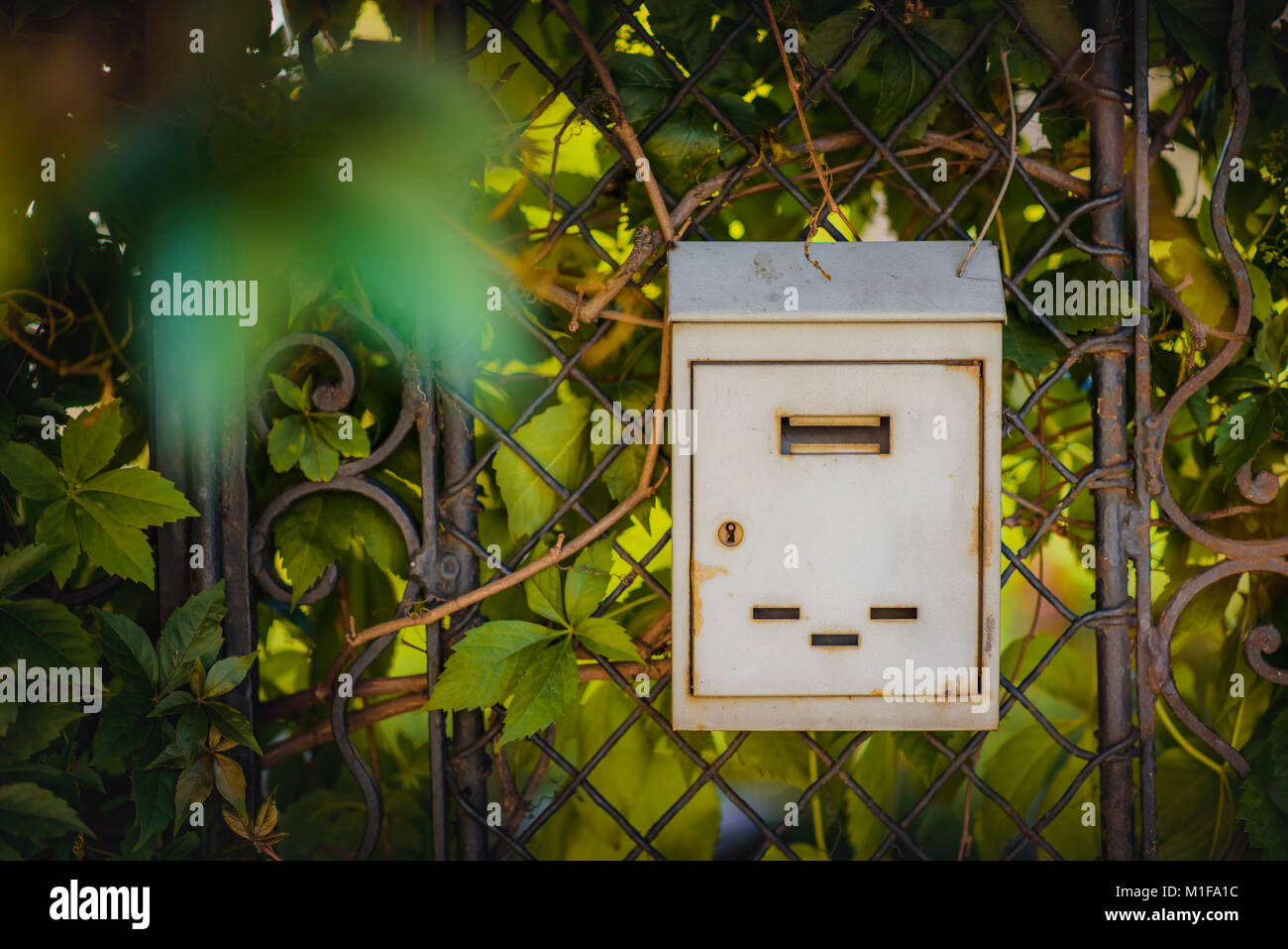 Square post leaves hi-res stock photography and images - Alamy