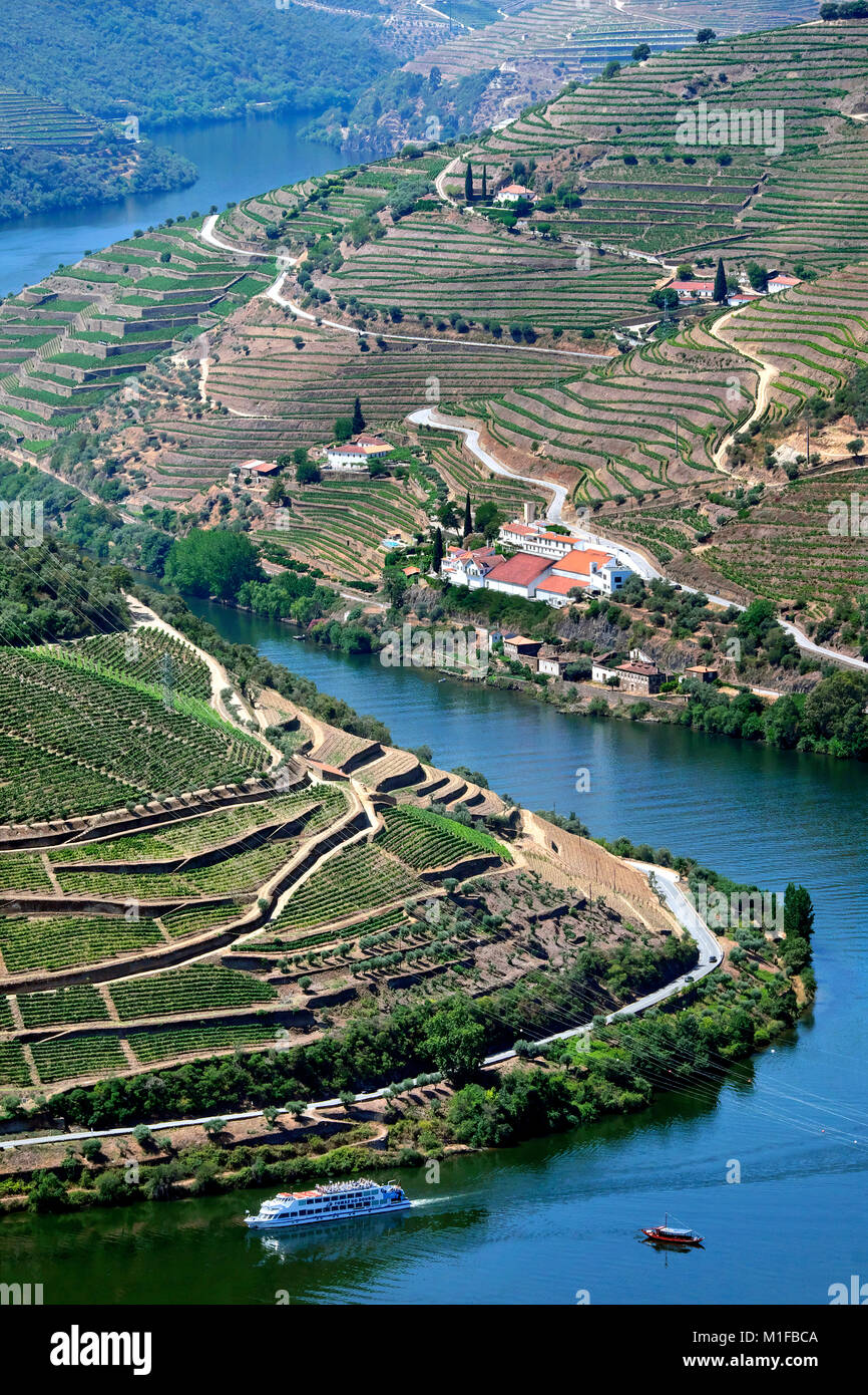 River cruise to the Alto Douro Wine Region (with Quinta de la Rosa vineyard i the background), Pinhão, Portugal, Europe Stock Photo