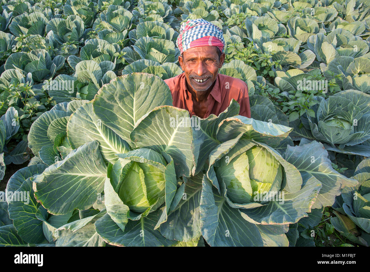 Bangladesh January 28, 2018 A Vegetable farmer is showing off the