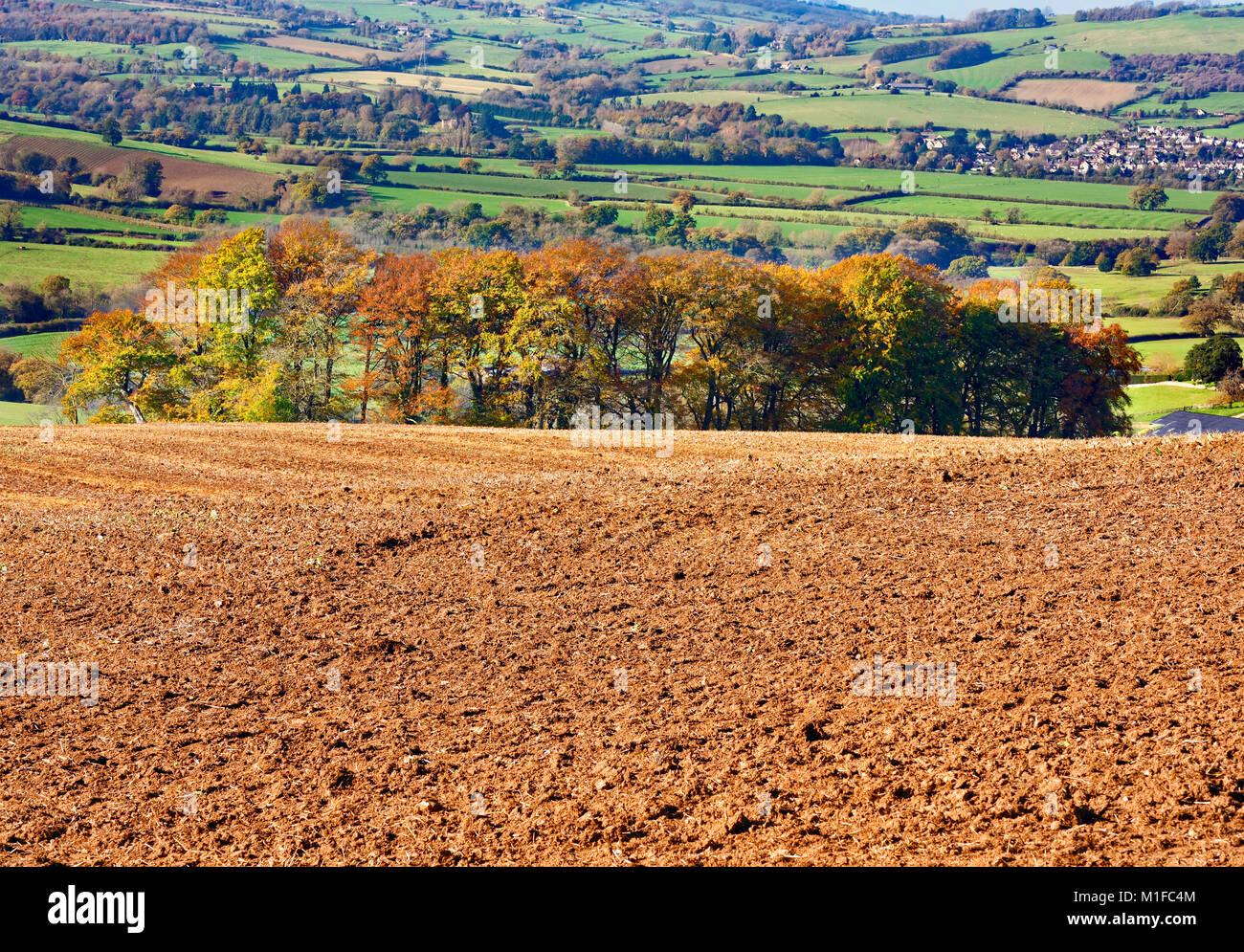 An autumn view of farmland in Gloucestershire, England, UK Stock Photo