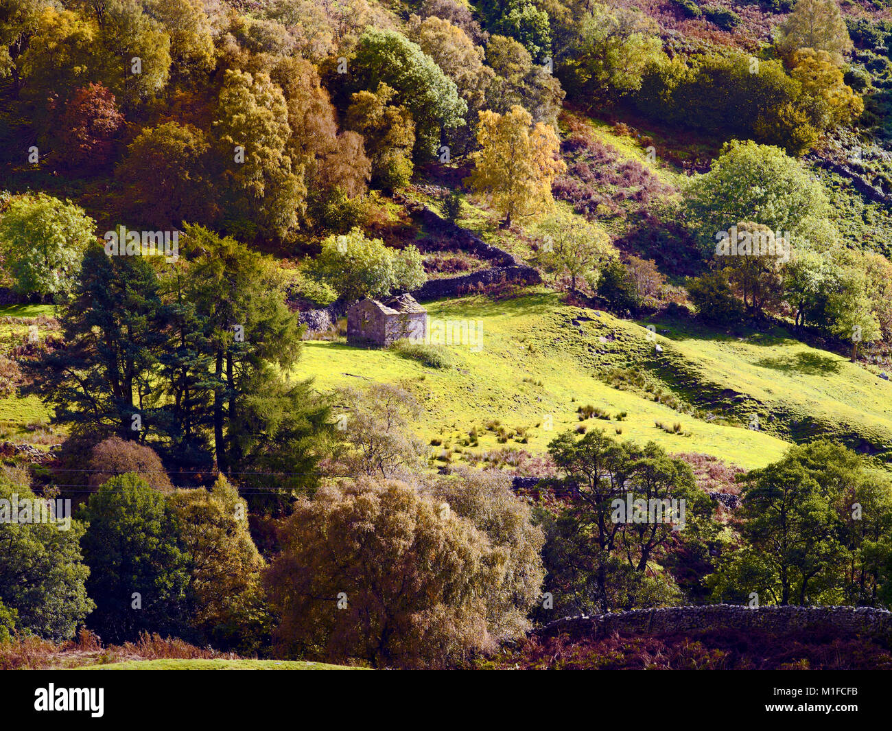 An autumn view of Swaledale in the Yorkshire Dales, England, UK. Stock Photo