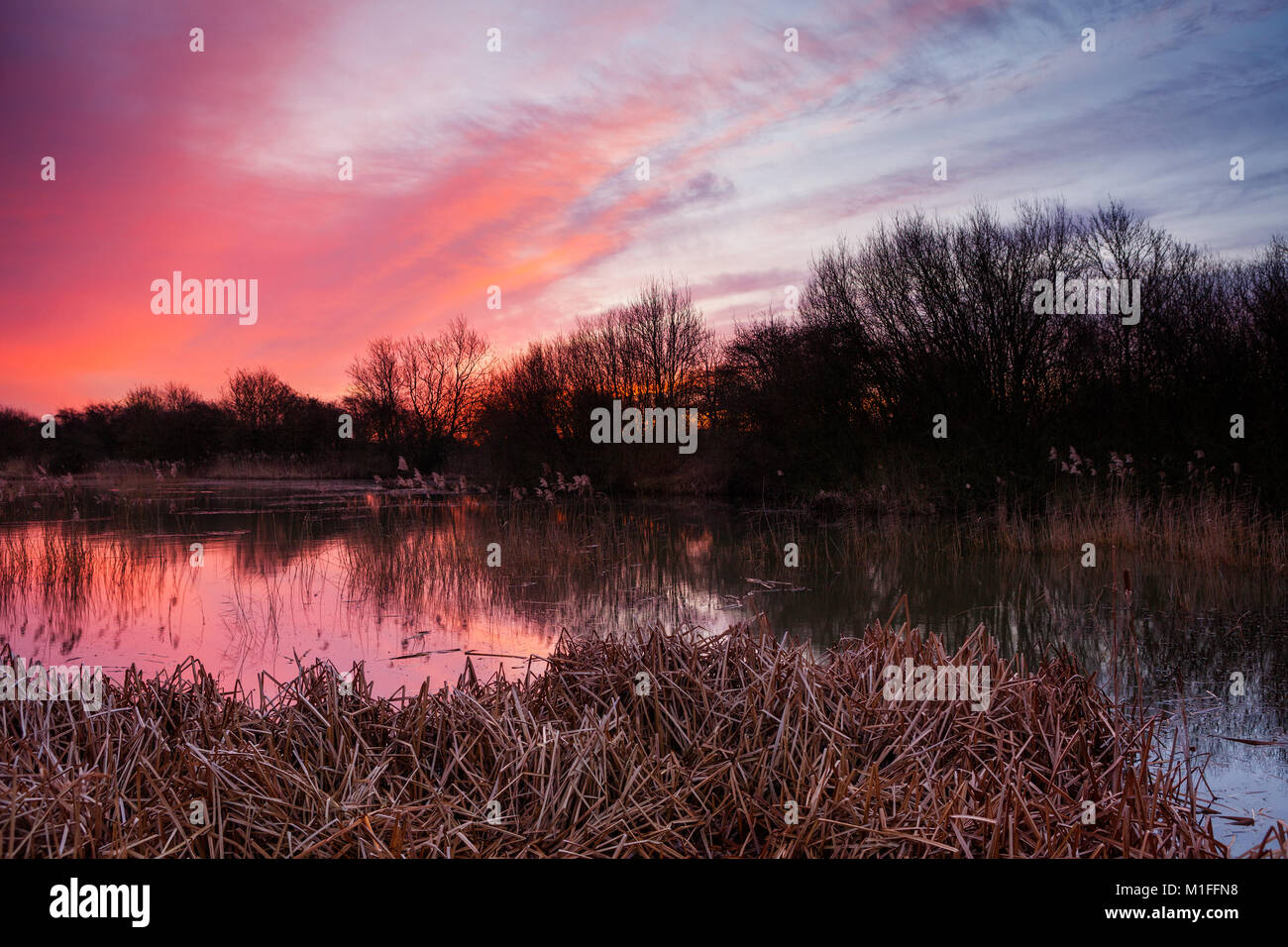 Barton-upon-Humber, Lincolnshire. 30th Jan, 2018. UK Weather: A colourful sunrise over a Lincolnshire Wildlife Trust Nature Reserve. Barton-upon-Humber, North Lincolnshire, UK. 30th January 2018. Credit: LEE BEEL/Alamy Live News Stock Photo