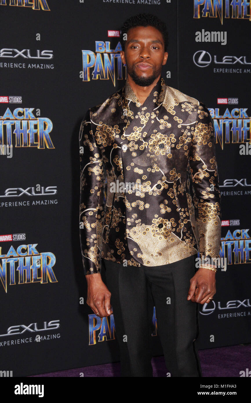 Chadwick Boseman  01/29/2018 The World Premiere of "Black Panther" held at The Dolby Theatre in Los Angeles, CA Photo by Izumi Hasegawa / HollywoodNewsWire.co Stock Photo