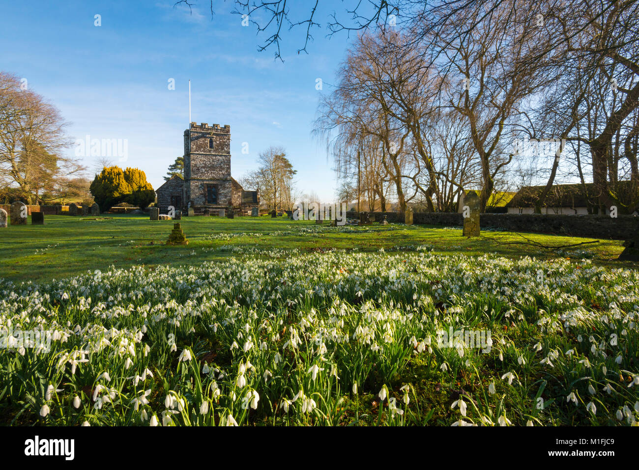 Winterborne zelston hires stock photography and images Alamy
