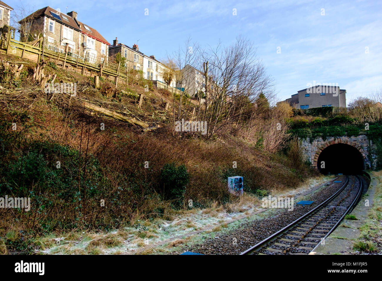 30th January 2018. Bristol, UK. Local residents have complained about the effect the sycamore trees have had on theirgardens, so they have removed the trees. Network rail has saiid it was concerned about the safety issues of people accessing the site and it had not given permision for the trees to be removed. Residents were under the impression permission had bee given. Picutures show the view from Montpelier station. Credit: JMF News/Alamy Live News Stock Photo