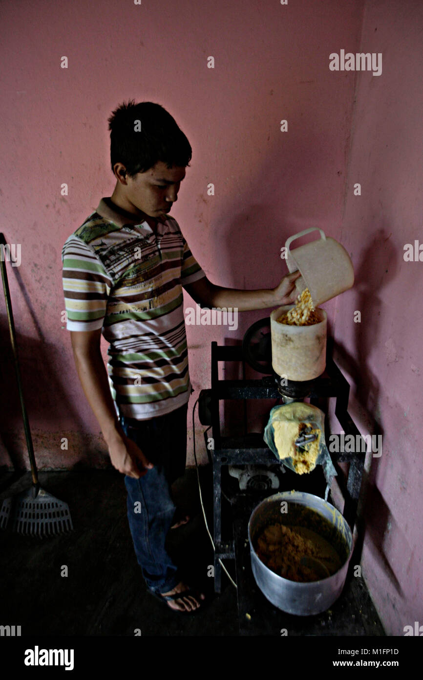Maturin, Monagas, Venezuela. 8th Dec, 2012. december 09, 2012. A young man pours the corn into the mill to make the mass of making cachapas, in the city of Matur'n, Monagas state. Venezuela .foto: Juan Carlos Hernandez Credit: Juan Carlos Hernandez/ZUMA Wire/Alamy Live News Stock Photo