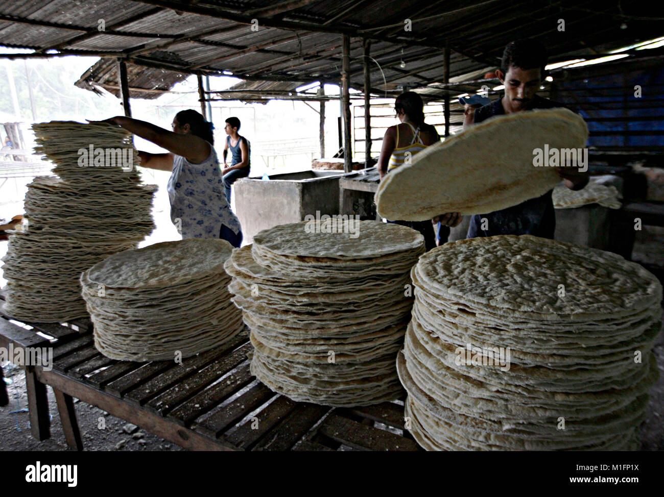 December 8, 2012 - Maturin, Monagas, Venezuela - december 09, 2012.  Workers collect the cakes already dried and ready for sale. The casabe or cazabe is part of the tradition of the Venezuelan as its indigenous people elaborated it and it is known as the Venezuelan bread. In the city of Maturâ€™n, Monagas state. Venezuela .foto: Juan Carlos Hernandez (Credit Image: © Juan Carlos Hernandez via ZUMA Wire) Stock Photo
