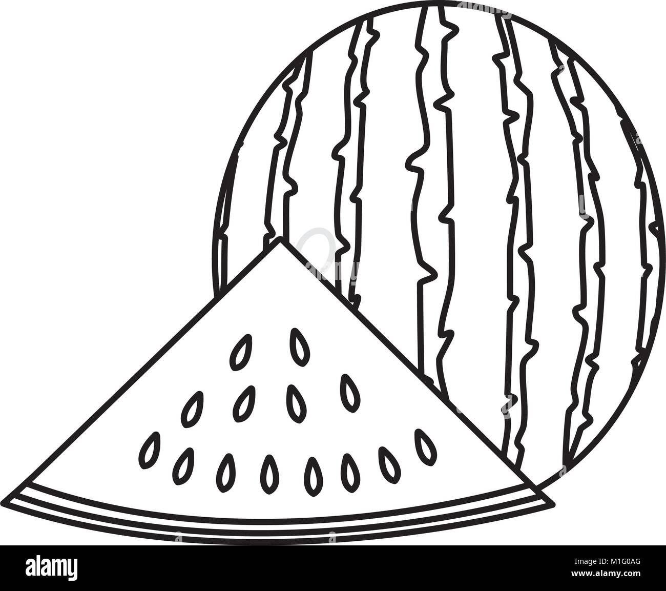 Isolated watermelon design Stock Vector Image & Art - Alamy