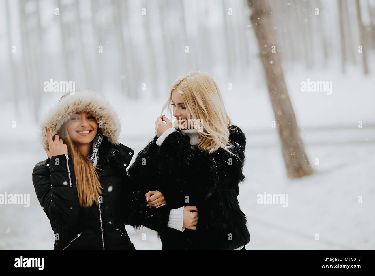 Portrait of two young women in a winter park Stock Photo - Alamy
