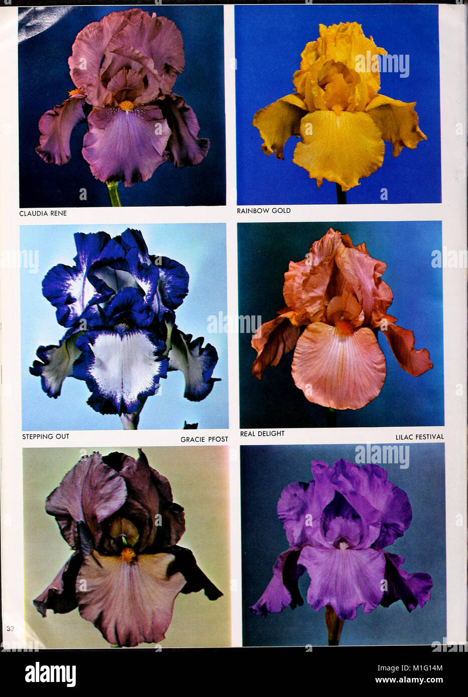 The '1967 Cooley's Gardens' catalog showcases a variety of ornamental
