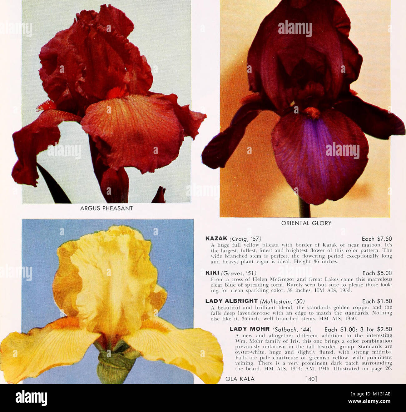 This 1960 catalog from Cooley's Gardens showcases a variety of plants