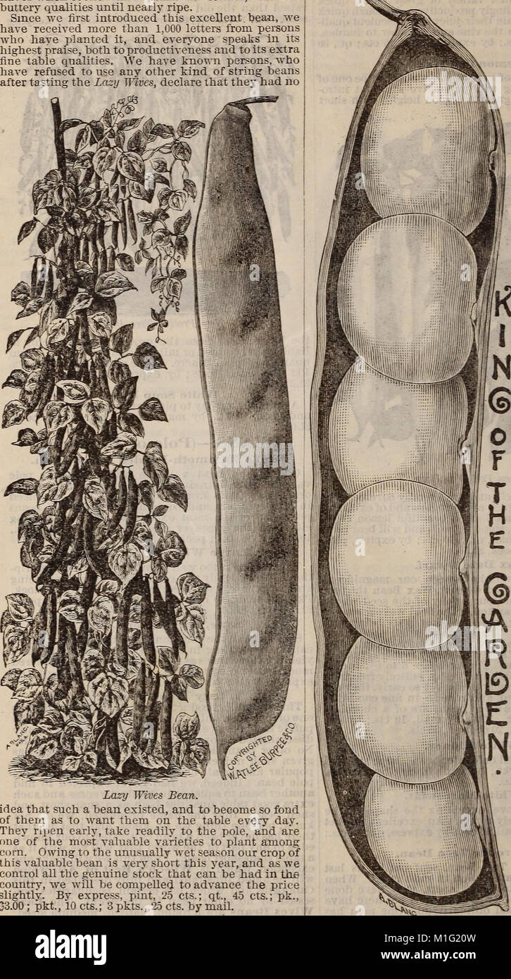 This 1888 catalog from Samuel Wilson's seed farm lists a variety of