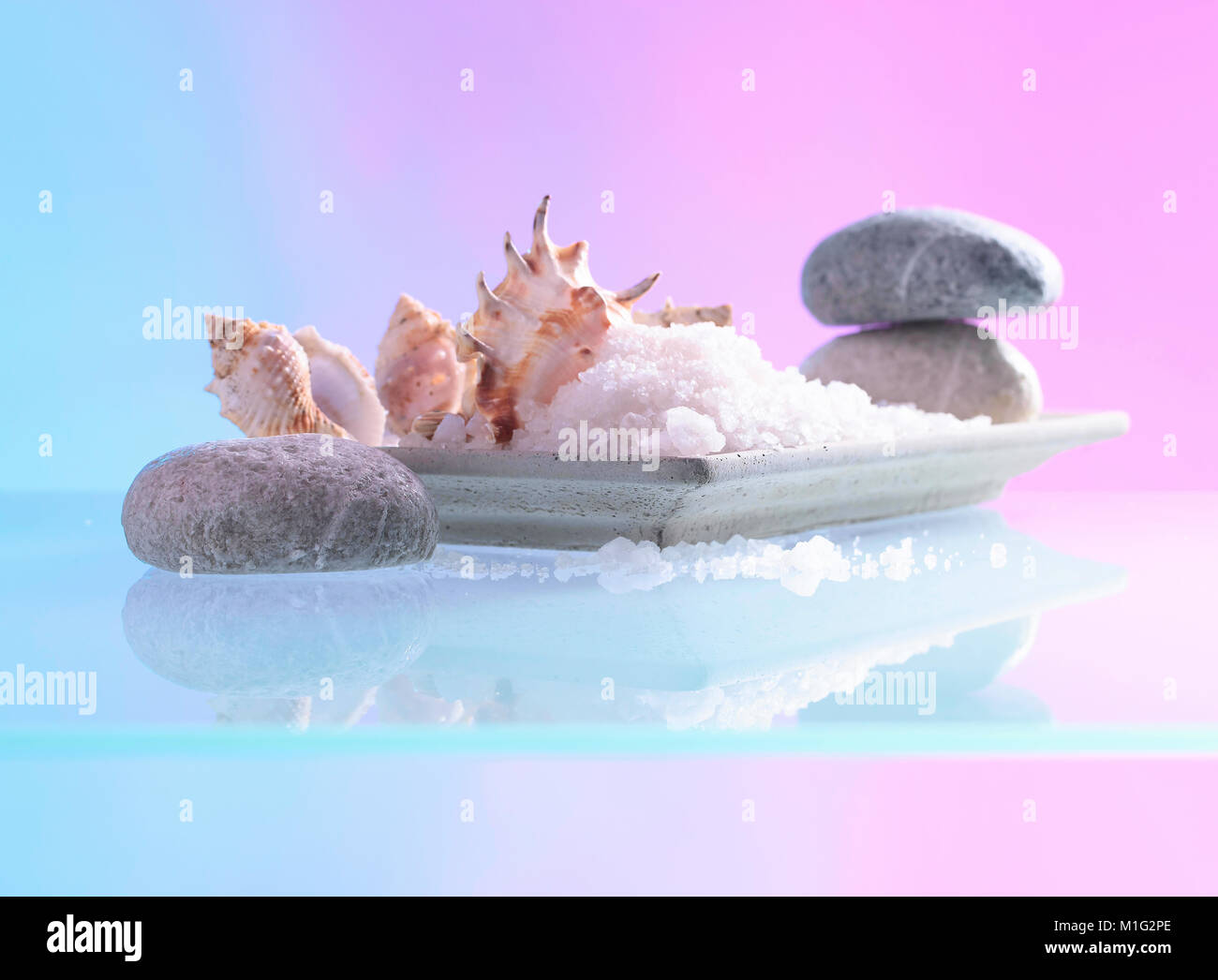 Spa Shell Samples Spa composition with shells and toning sea salt crystals. Copy space ...