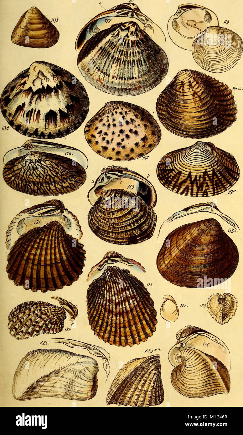 This manual from 1842 provides a comprehensive guide to the study of ...