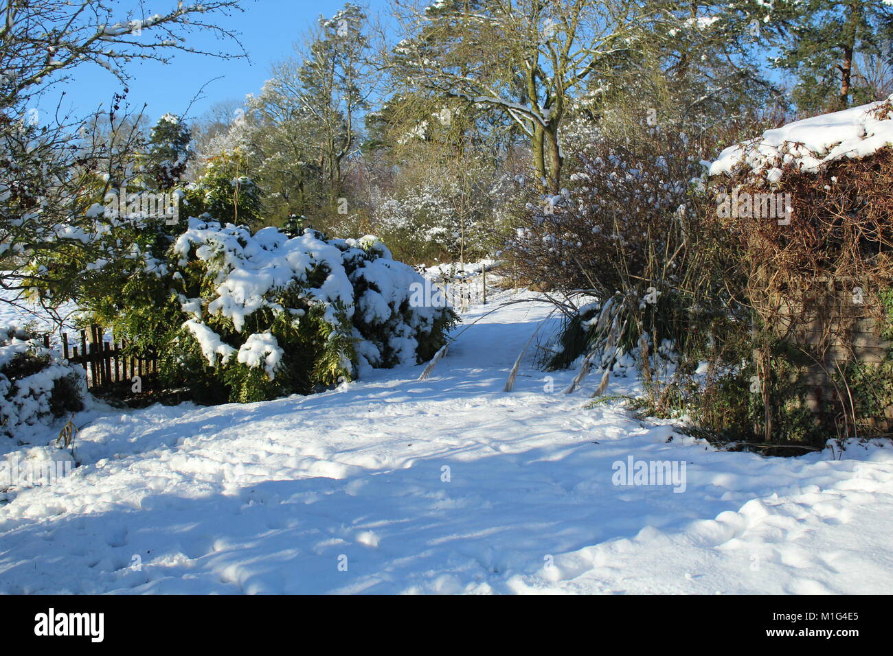 Garden scene with heavy snow Stock Photo - Alamy