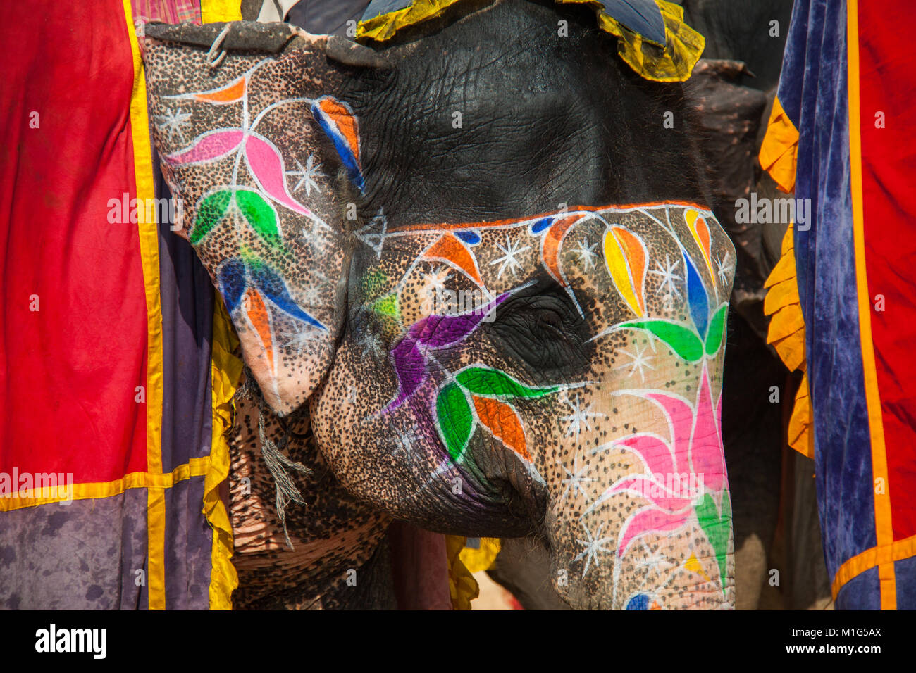 Sad looking painted elephant taking rides at Amber Fort, Jaipur, Rajasthan, India Stock Photo