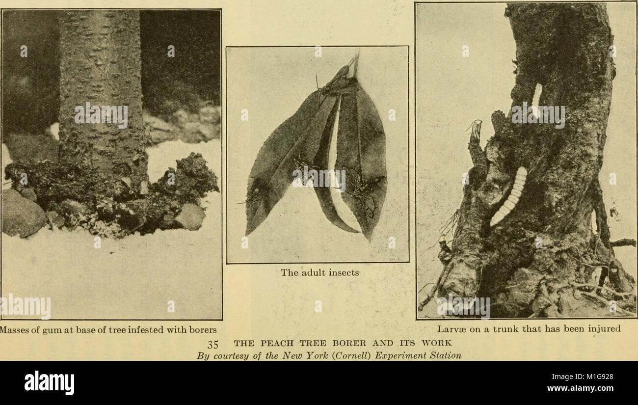 Basic skills program hi-res stock photography and images - Alamy