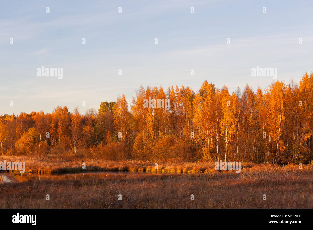 Nature landscape in autumn colors Stock Photo - Alamy