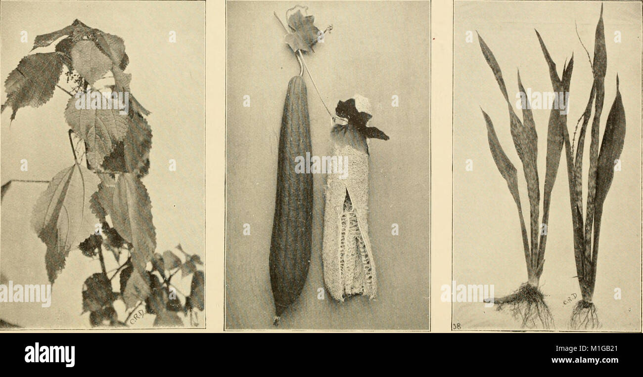 Contribution of fibers hi-res stock photography and images - Alamy