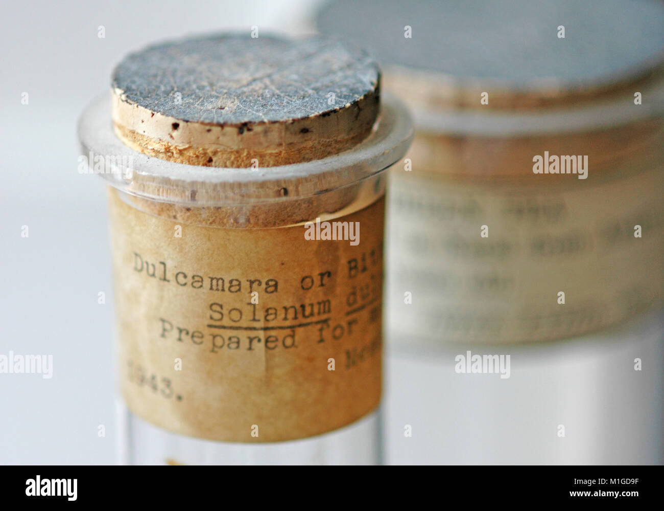 vintage specimen bottles Stock Photo Alamy