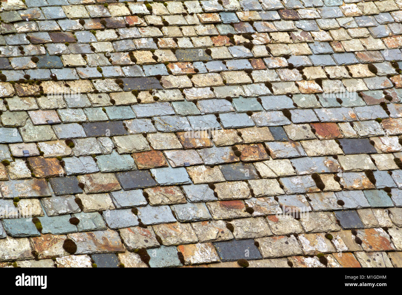 Old weathered multi coloured roof slate tiles full frame Stock Photo