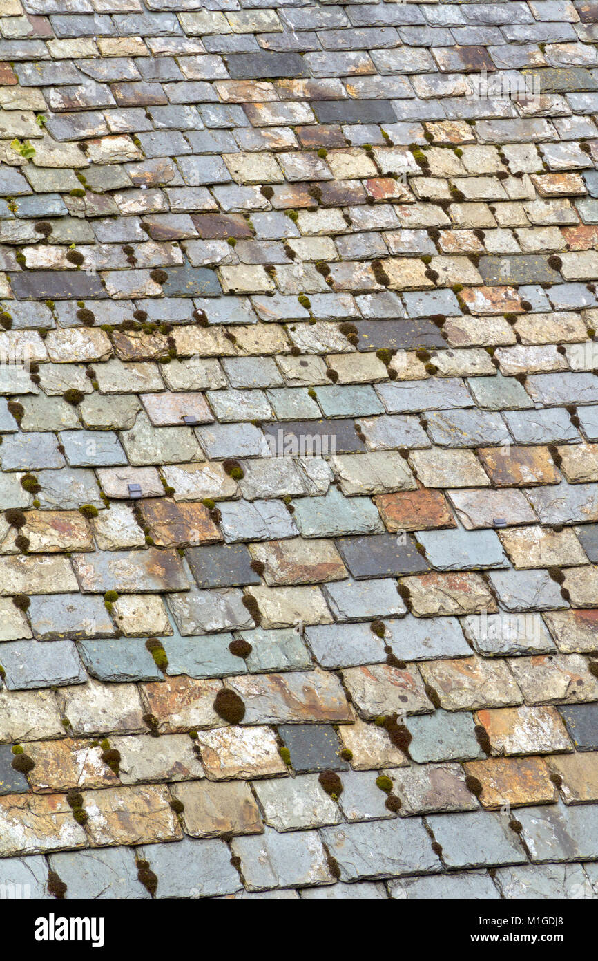 Old weathered multi coloured roof slate tiles full frame Stock Photo
