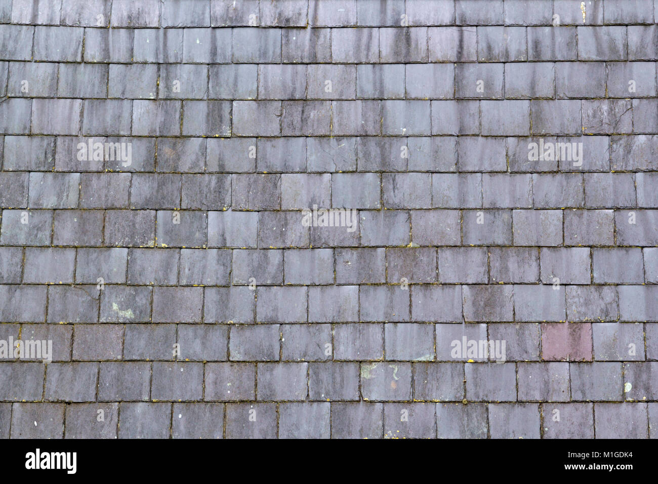 Slate roof tiles hi-res stock photography and images - Alamy