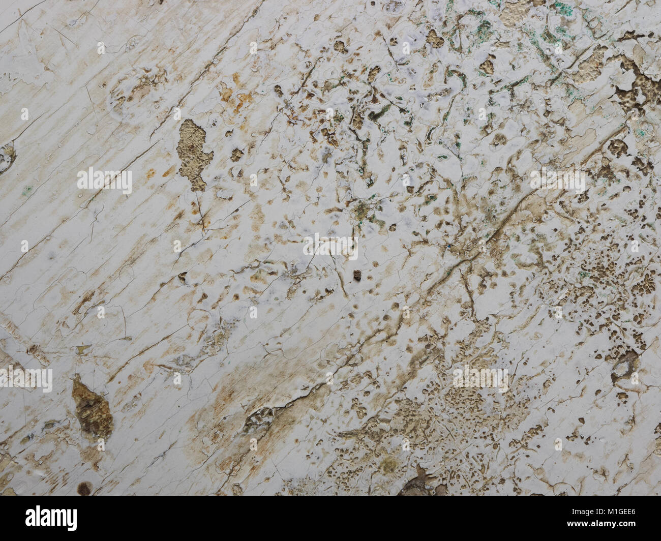 Surface of a white painted wooden table with scratches Stock Photo