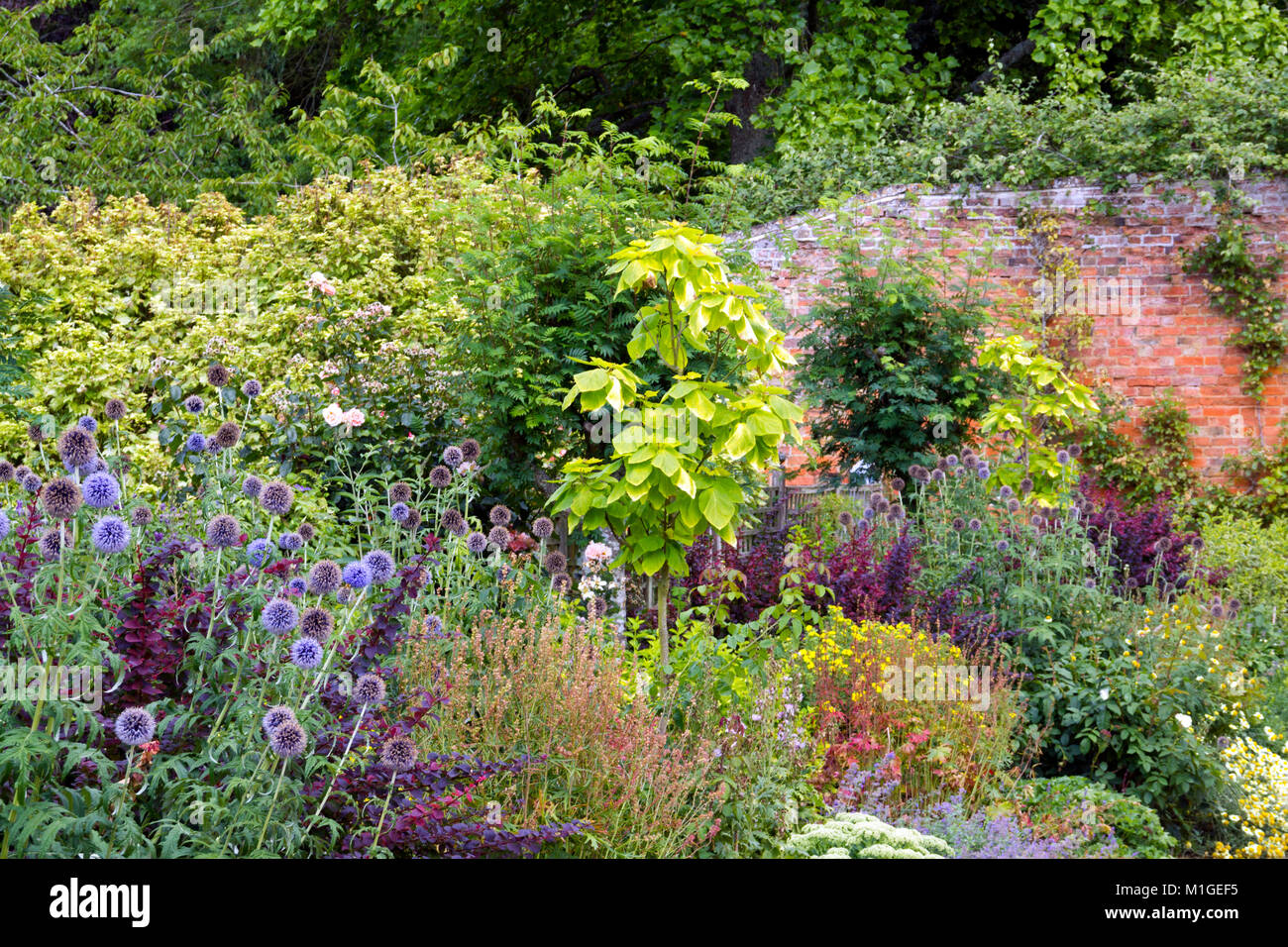 Colouful summer garden border in a walled garden Stock Photo
