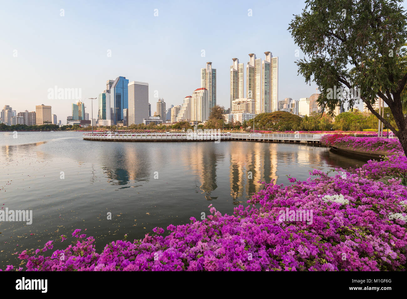 Blooming flowerbeds at the Benjakiti (Benjakitti) Park and modern skyscrapers in Bangkok, Thailand, in the morning. Stock Photo