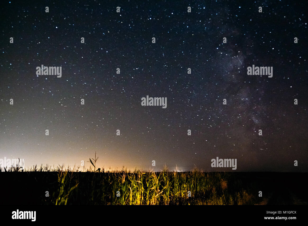 Night sky with stars and the Milky Way over the rural field Stock Photo ...