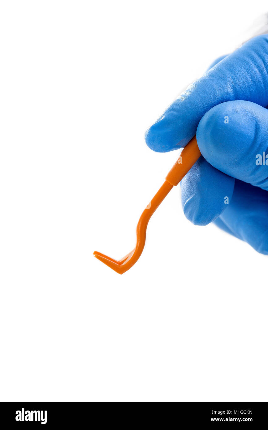 veterinarian's hands poses with tweezers for removing ticks on white