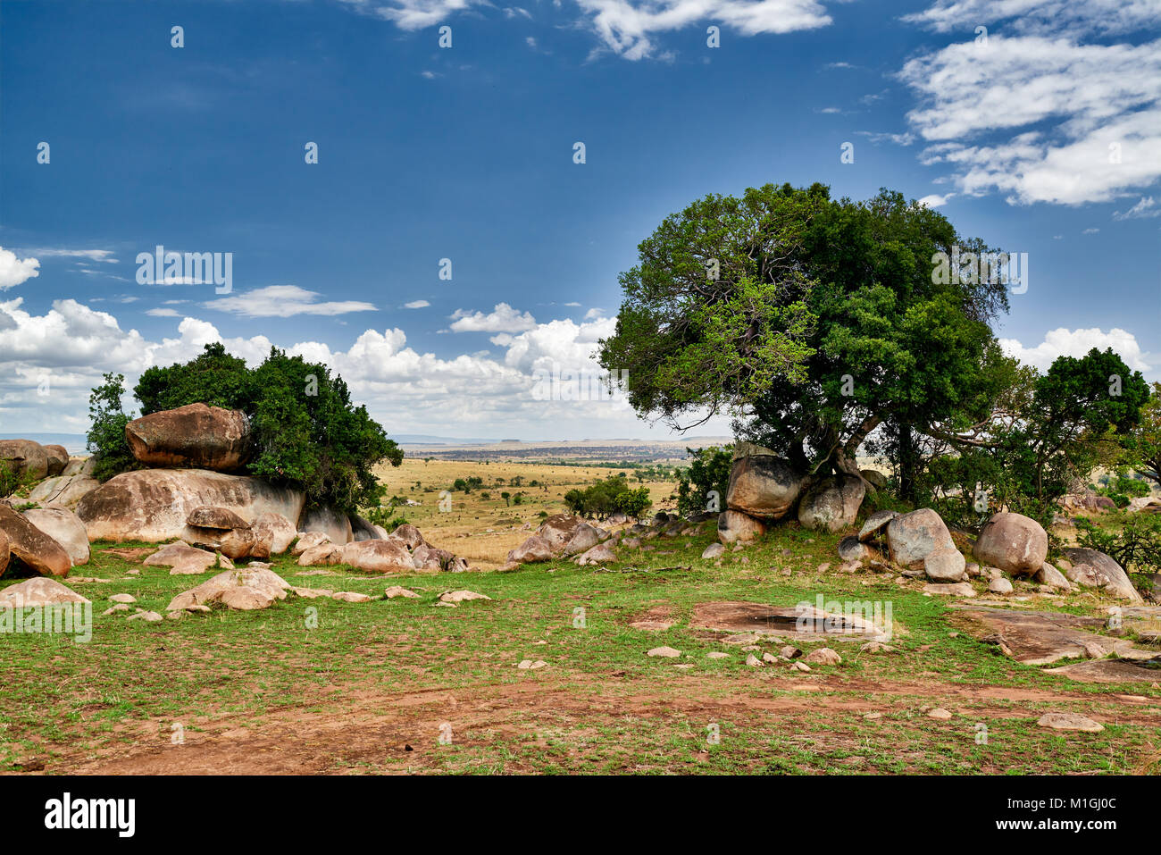 landscape of Serengeti National Park, UNESCO world heritage site, Tanzania, Africa Stock Photo