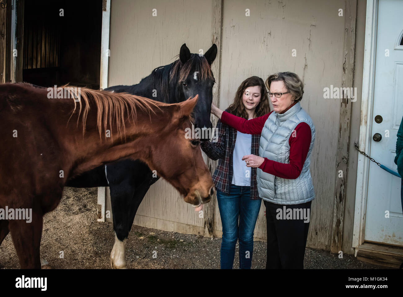 Rural Virginia horse farm Stock Photo Alamy