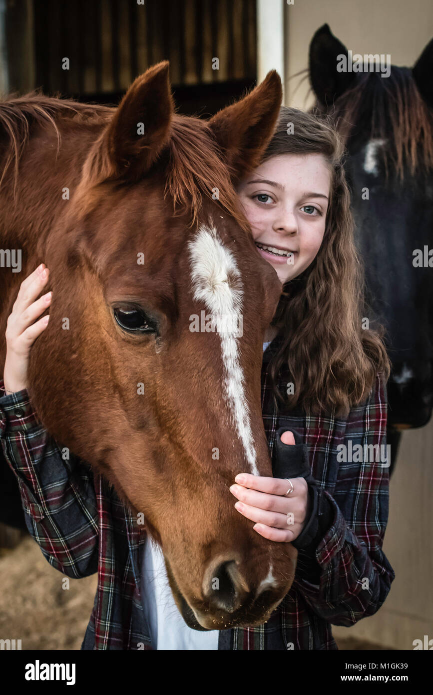 Rural Virginia horse farm Stock Photo Alamy
