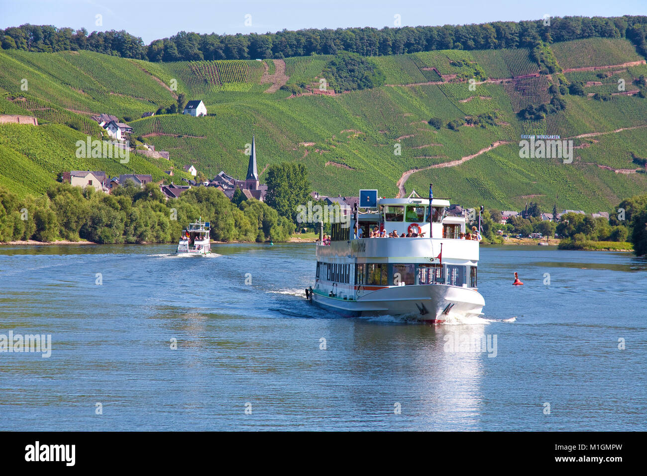Excursion ship on the Mosel river at wine village Uerzig, Moselle river, Rhineland-Palatinate, Germany, Europe Stock Photo