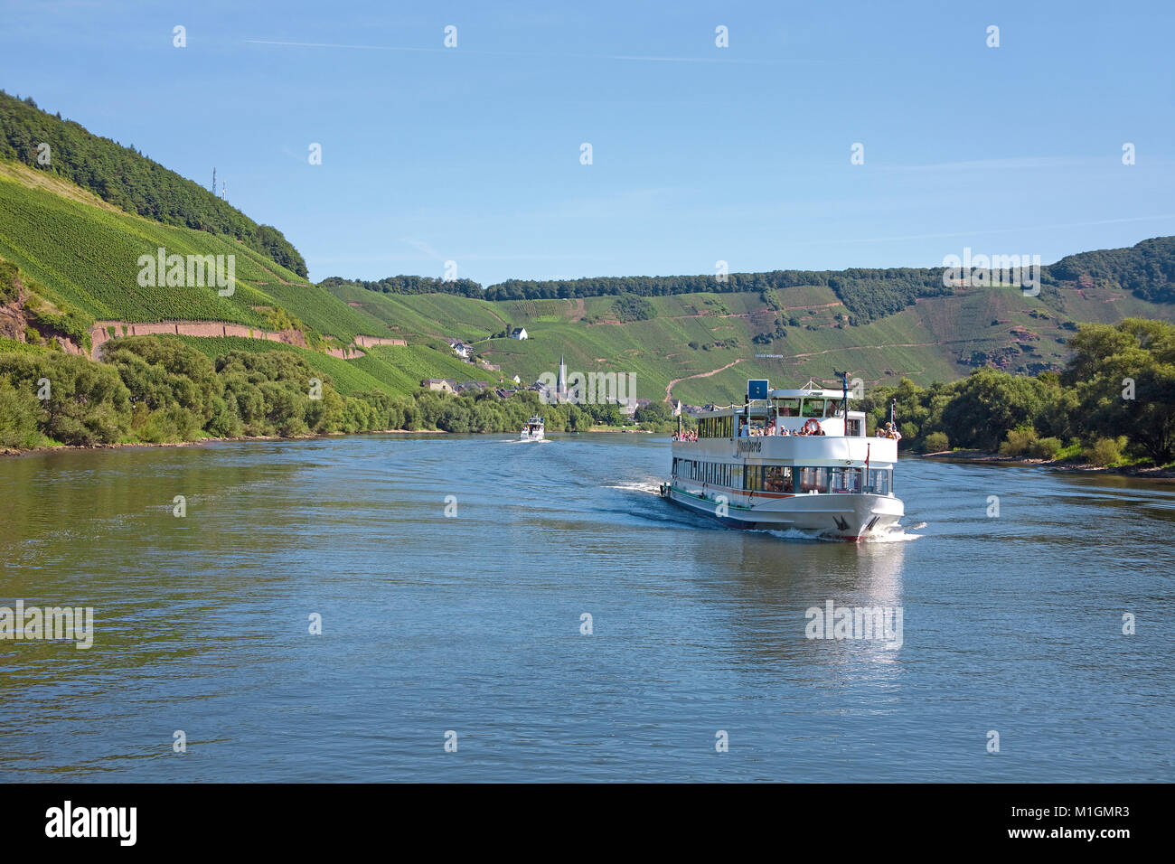 Excursion ship on the Mosel river at wine village Uerzig, Moselle river, Rhineland-Palatinate, Germany, Europe Stock Photo