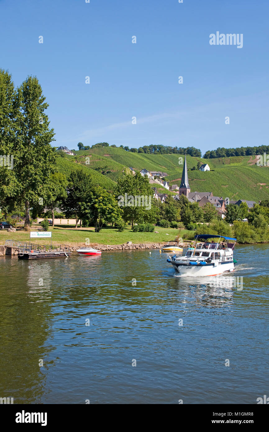 Motor boat cruising on Moselle river, behind the church Saint Maternus of wine village Uerzig, Moselle river, Rhineland-Palatinate, Germany, Europe Stock Photo