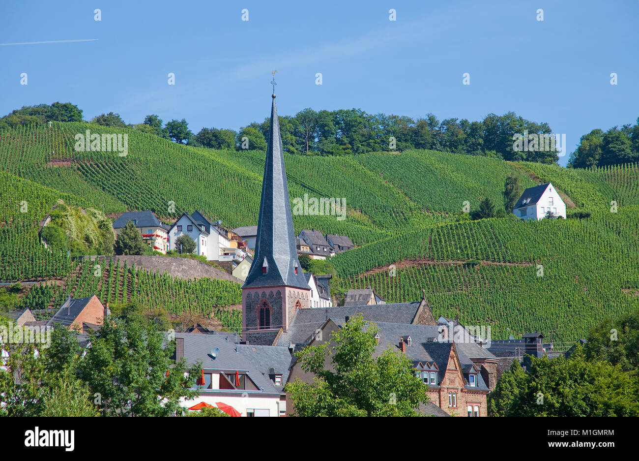 Catholic church Saint Maternus at wine village Uerzig, Moselle river, Rhineland-Palatinate, Germany, Europe Stock Photo