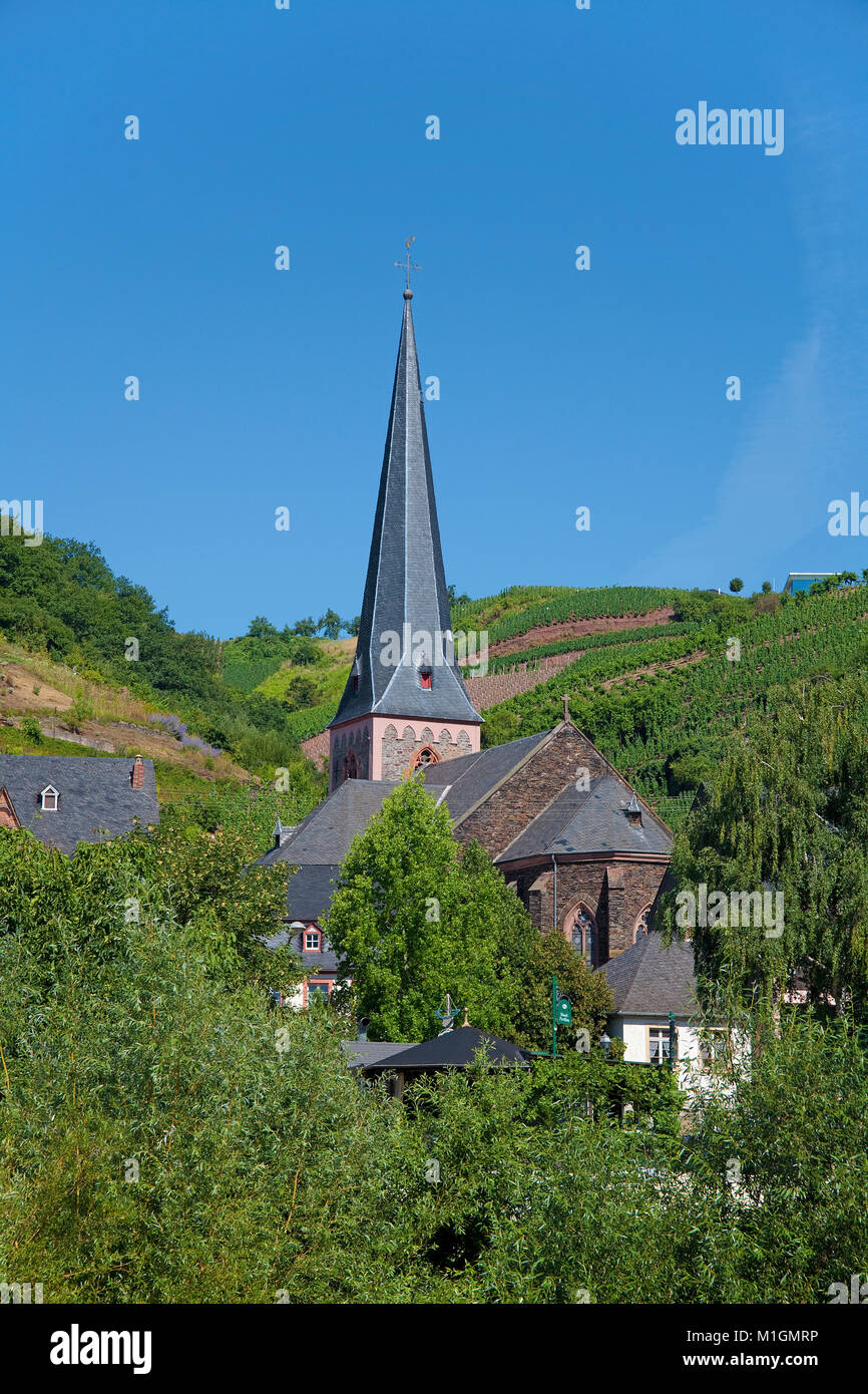 Catholic church Saint Maternus at wine village Uerzig, Moselle river, Rhineland-Palatinate, Germany, Europe Stock Photo