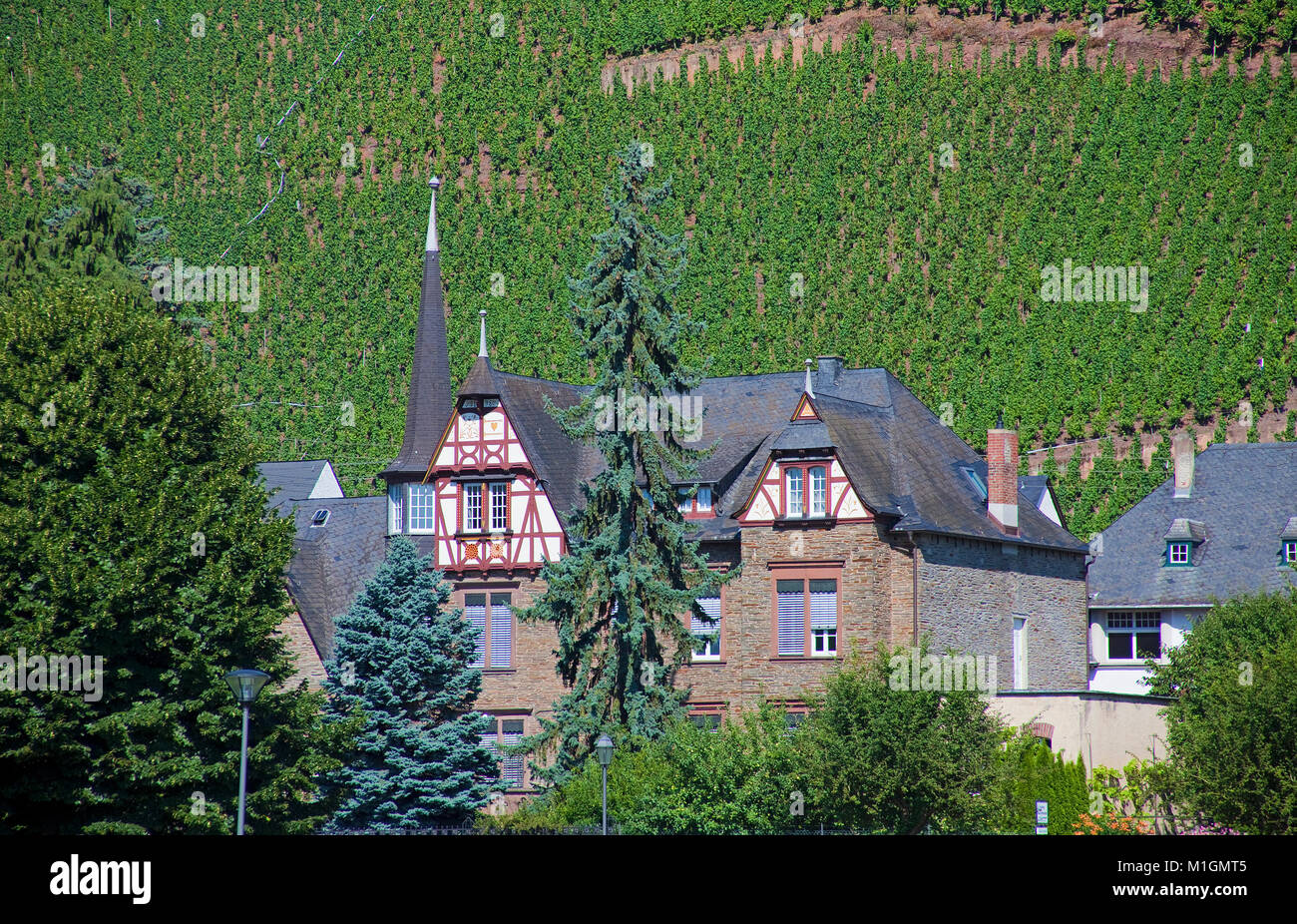 Half-timbered house in front of  vineyard 'Uerziger Wuerzgarten', a famous Riesling wine, Uerzig, Moselle river, Rhineland-Palatinate, Germany, Europe Stock Photo