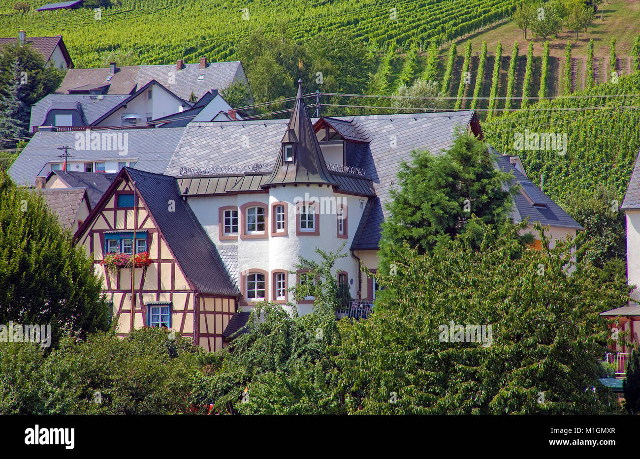 Typical Mosel houses at wine village Kroev, Moselle, Mosel river, Rhineland-Palatinate, Germany, Europe Stock Photo