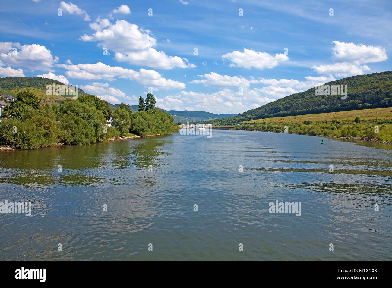 Mosel river at wine village Zeltingen-Rachtig, Moselle river, Rhineland-Palatinate, Germany, Europe Stock Photo